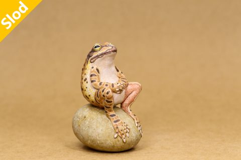 rana pirica