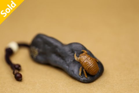 笔架蝉（老七）