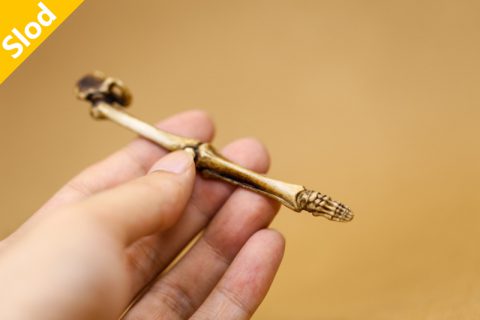 骷髅叁 腿骨采耳器（屹人）