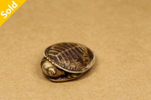 雏鳖根付（屹人）