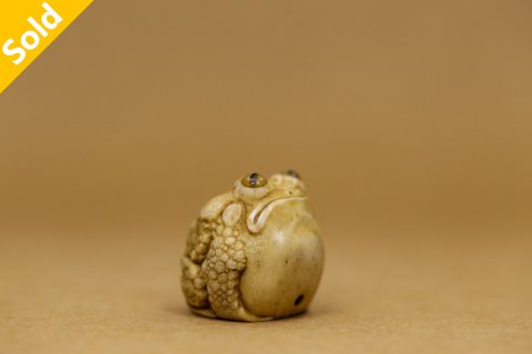 骄傲的蛤蟆（红衣法师）