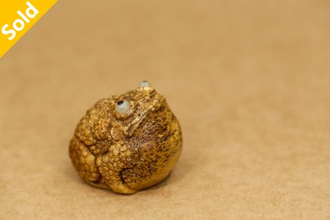 骄傲的蛤蟆原型（红衣法师）