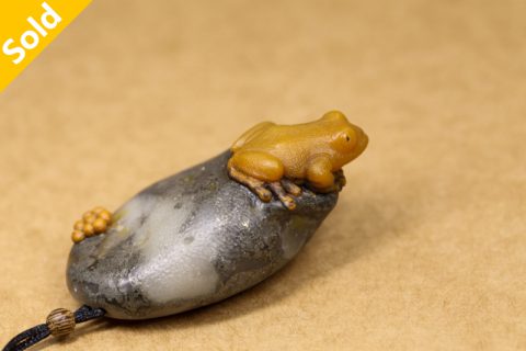 雨林金蛙（高涛）