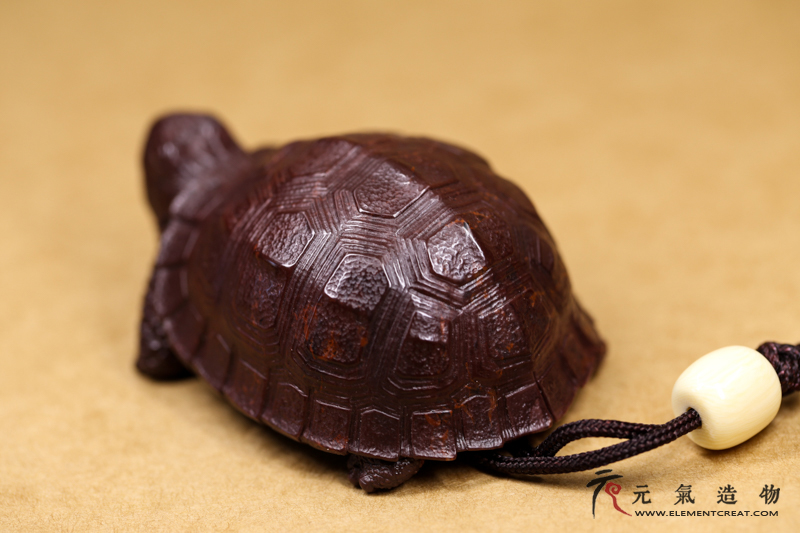 月尾紫龟（老七）