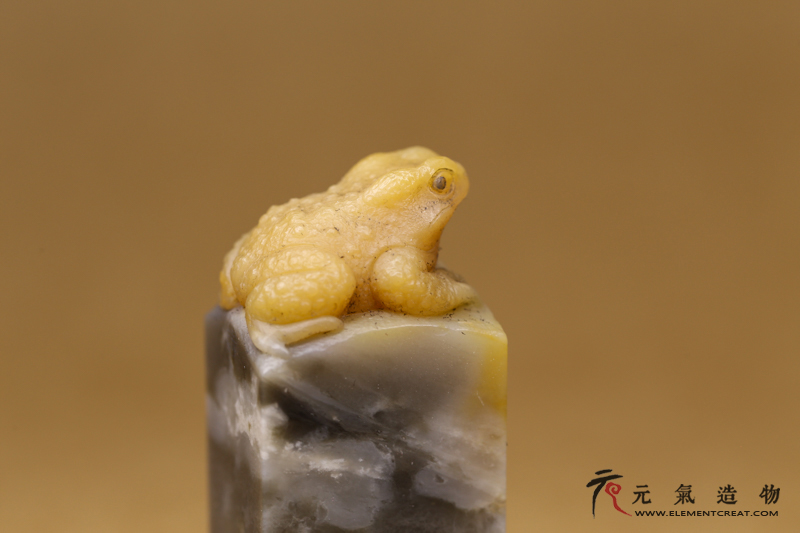 蟾蜍套章（高涛）