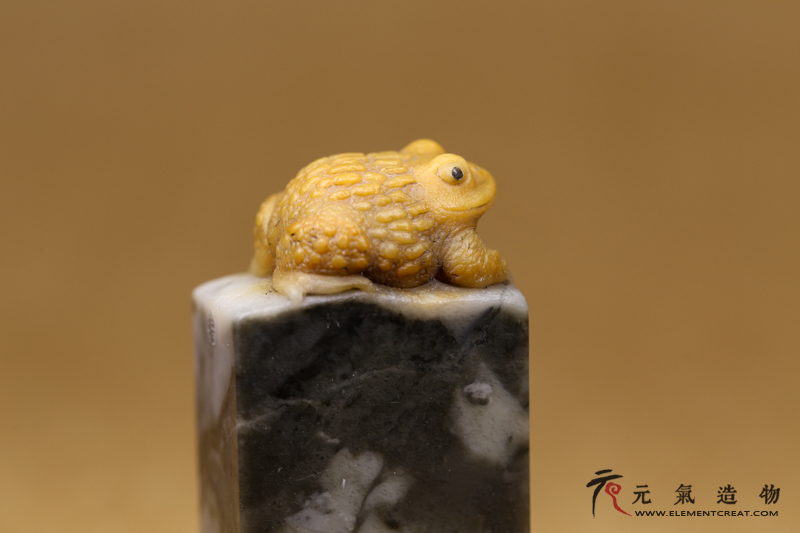蟾蜍套章（高涛）