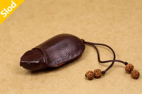 鹰嘴龟（高涛）