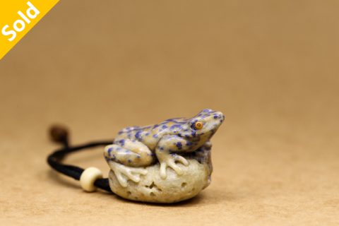 蓝色箭毒蛙（高涛）