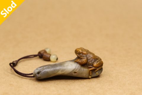 金蟾（高涛）