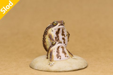 老虎狗蟾蜍（森工坊）