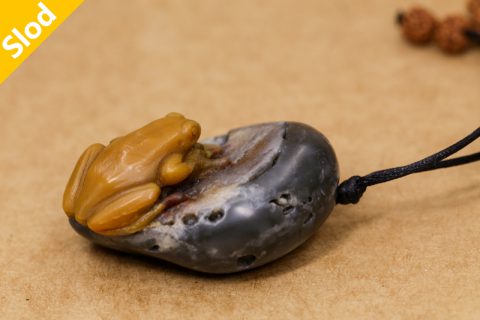 树蛙（高涛）