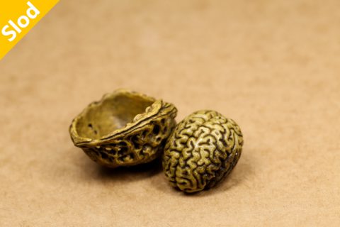 胡桃贰（封尘）