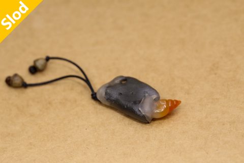 树蜗牛（高涛）