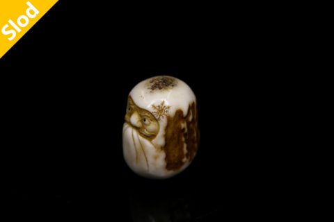 雪达摩（屹人）