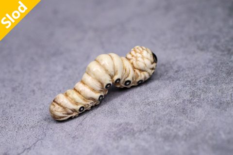 可怜虫（本）