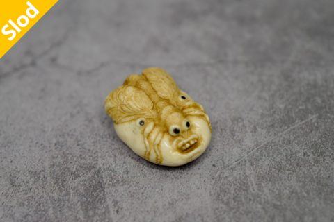 蝇脸男（本）
