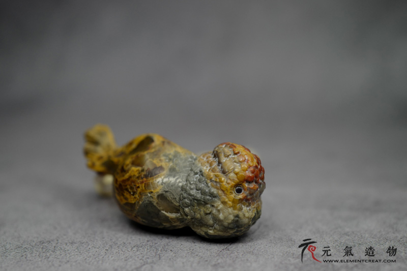 金鱼（高涛）