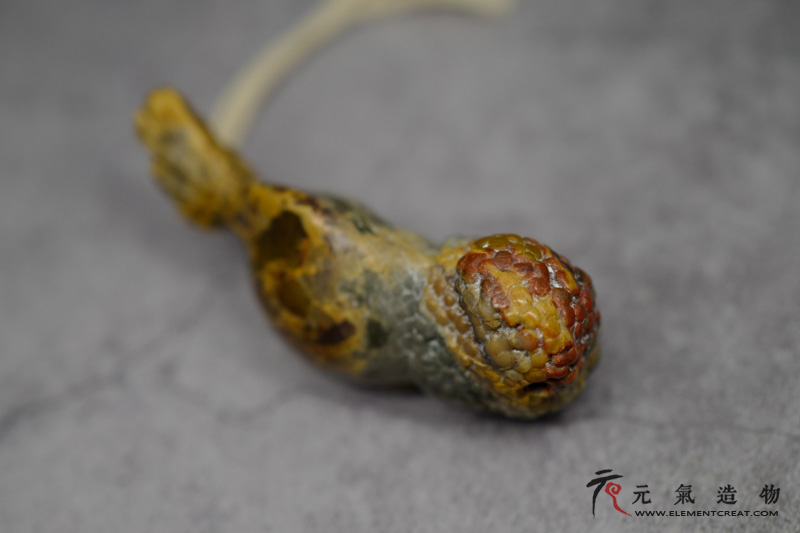 金鱼（高涛）
