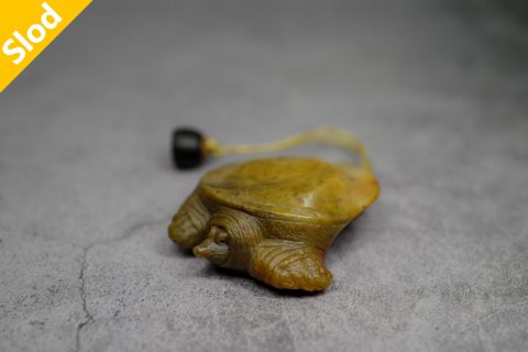 鳖（高涛）