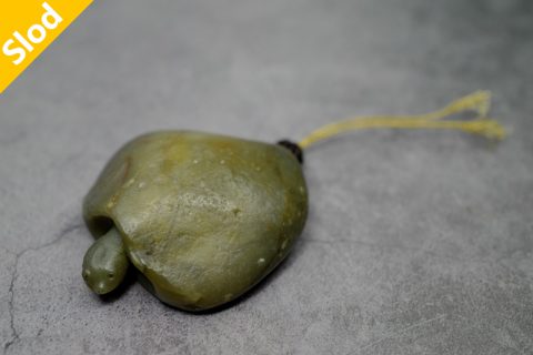 长颈龟（高涛）