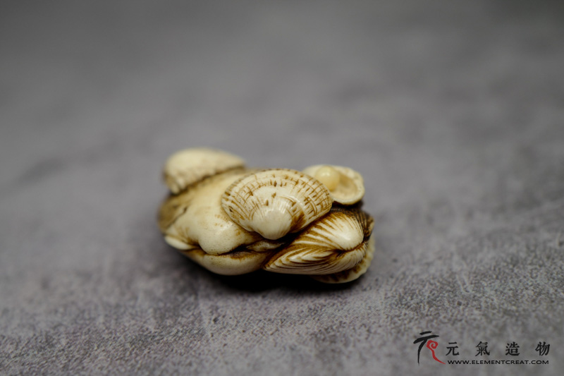 珍珠贝壳（玉皎）