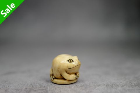 流浪的角蛙（锂）