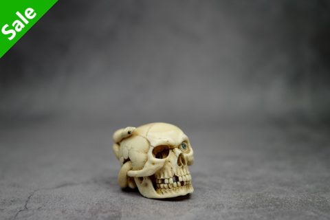 智慧的禁果（阿列克）