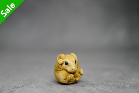 丸鼠（玉皎）
