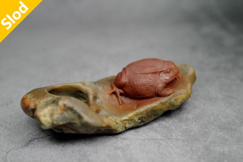 番茄蛙（高涛）