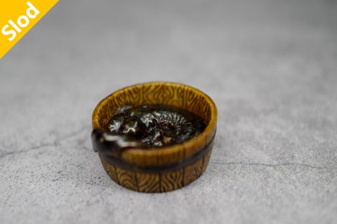 大鲵（徐清）