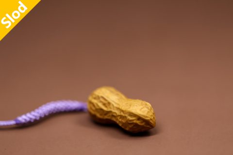 花生（屹人）