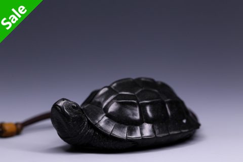卧龟（老七）