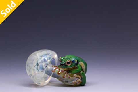 Frog on a Mushroom （ケンタロー）