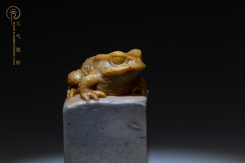 蟾（高涛）