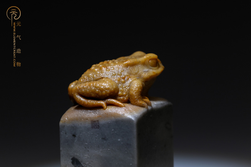 蟾（高涛）
