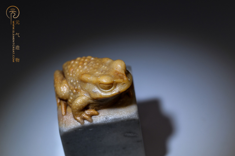 蟾（高涛）