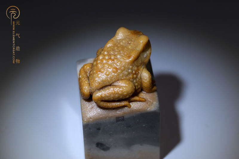 蟾（高涛）
