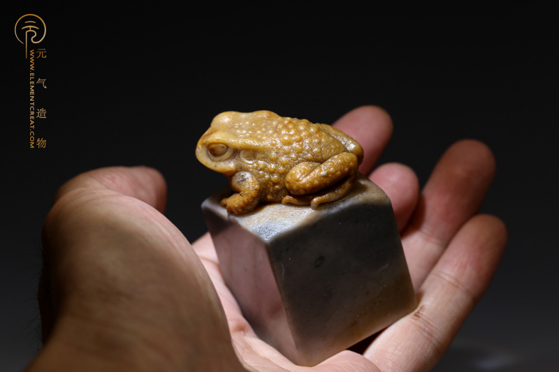 蟾（高涛）