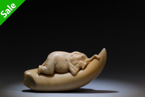 小象（高涛）