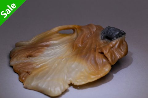 荷蟹（高涛）