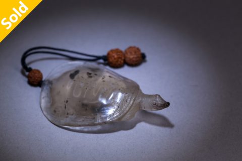 鳖（高涛）