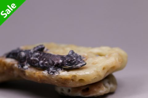枯叶撒旦（高涛）