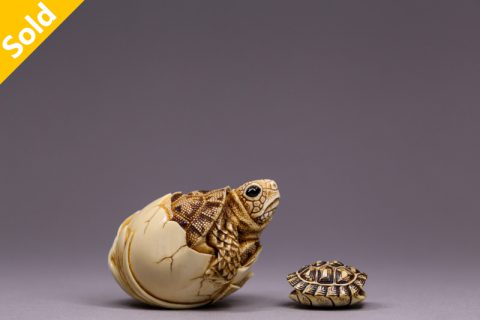 蛋生系列-龟（奥列格）
