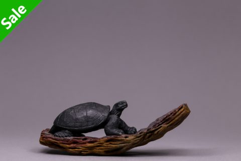 盲龟浮木（高涛）