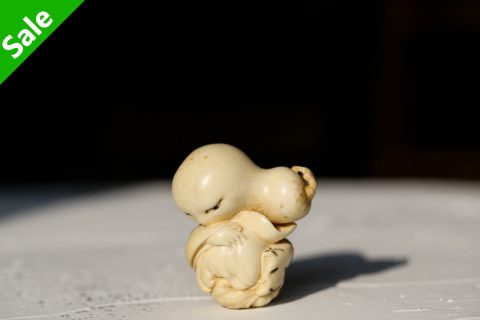 福禄姬（本）