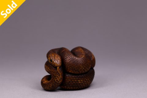 蛇（瓦迪姆）