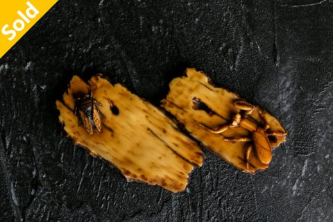 刀螂与蝉（徐清）