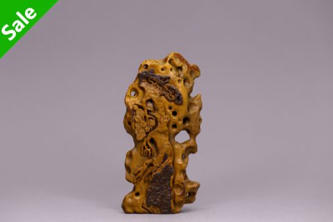 枯树逢春（高涛）