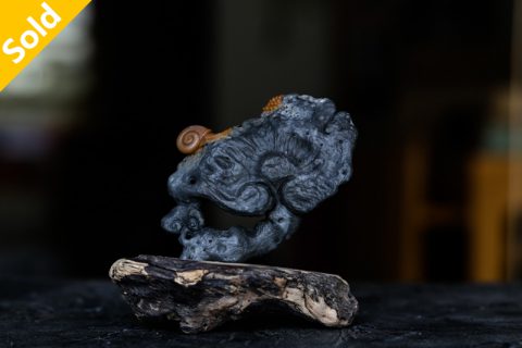 灵芝蜗牛（高涛）