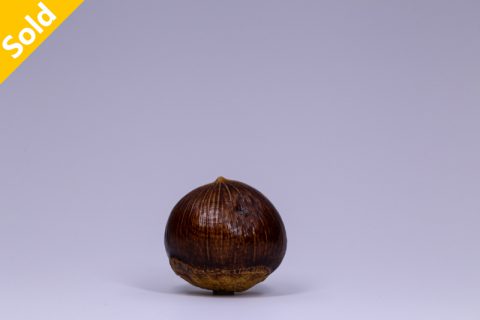 栗（本）
